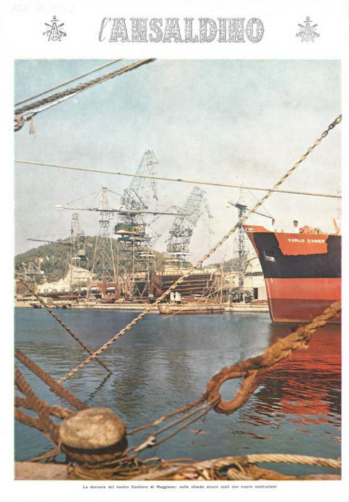 p. 28 (quarta di copertina), alcuni scali con nuove costruzioni sullo sfondo della darsena del Cantiere del Muggiano